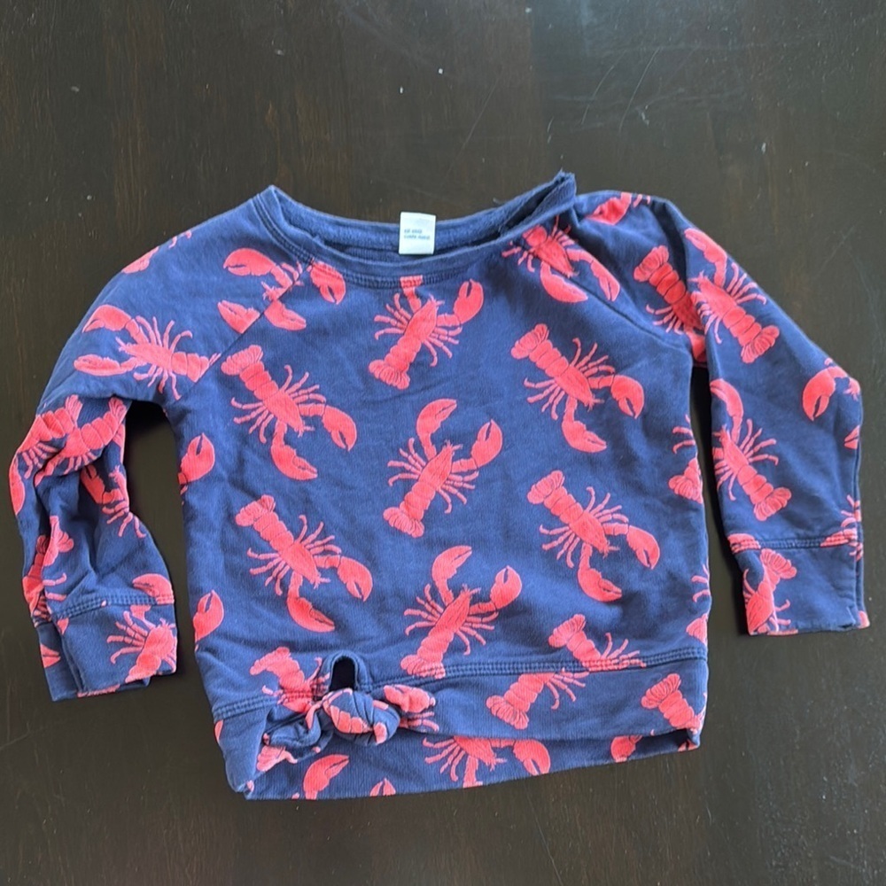 Old Navy Blue and Red Long Sleeve Tee